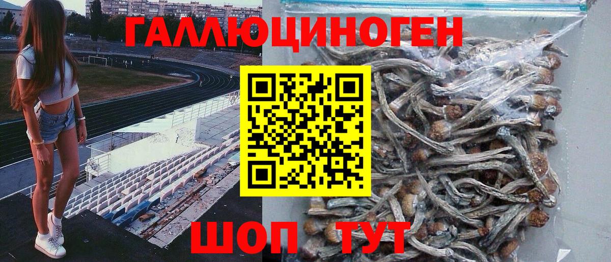 цена наркотик  Вход с VPN  Саянск  Псилоцибиновые грибы GOLDEN TEACHER 