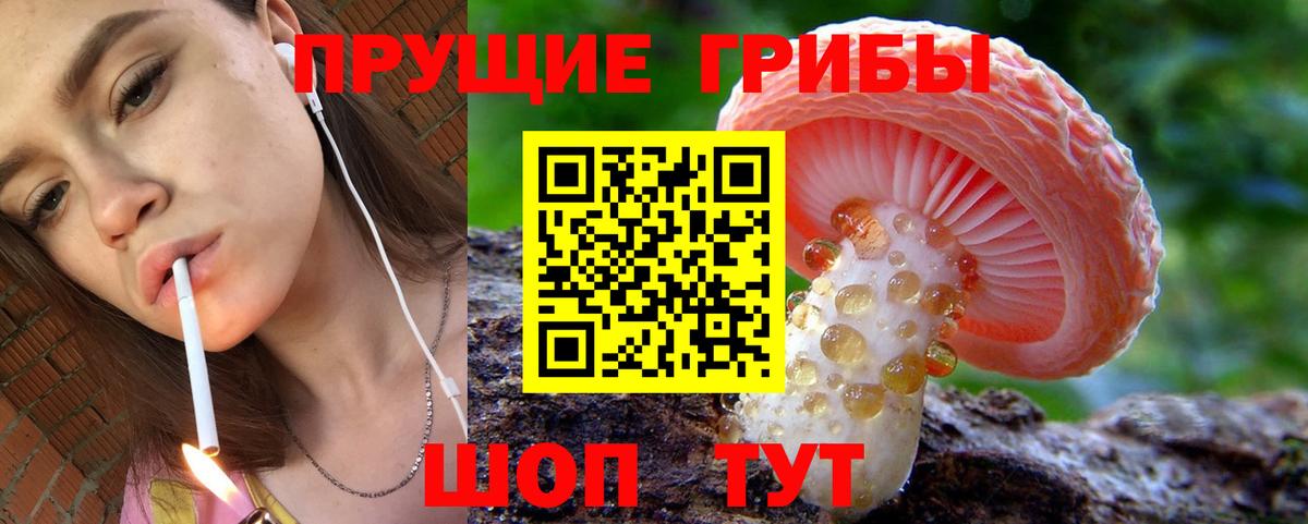 Псилоцибиновые грибы Magic Shrooms Саянск